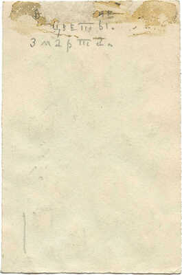 Митрохин Дмитрий Исидорович. Цветы. 3 марта